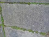 image number DSC06953